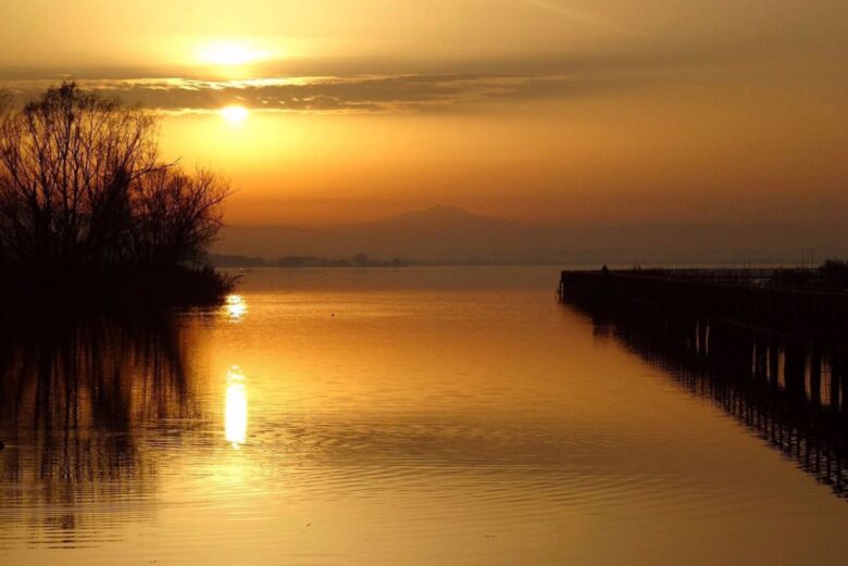 Passeggiata naturalistica guidata lungo le passerelle di legno del canneto all'Oasi La Valle sul Lago Trasimeno